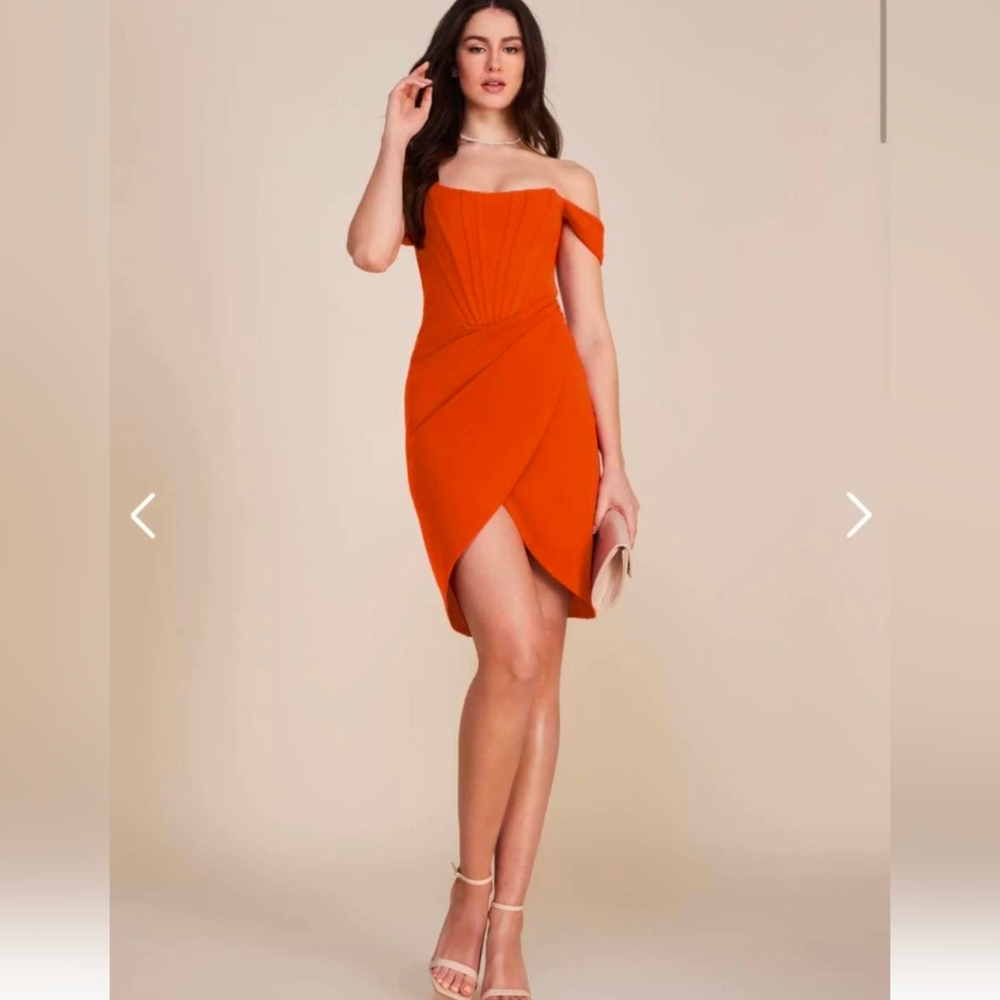 NWT XS Le Chateau Dress